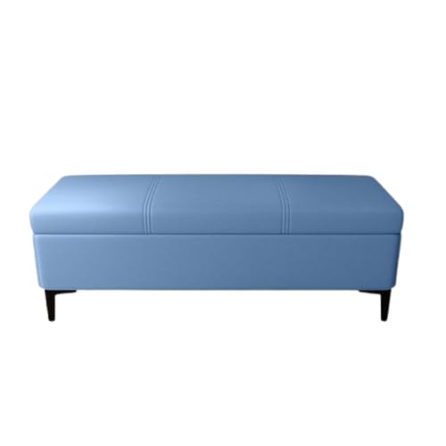 Ottomane mit Stauraum und Klappdeckel moderner Metallfuß rechteckige Polsterbank multifunktionale Schuhbank für Wohnzimmer Schlafzimmer Bekleidungsgeschäft (40 x 40 x 43 cm/Himmelblau) von generic