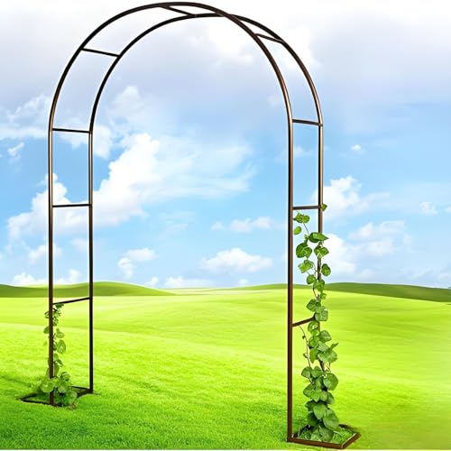 Schwer Rosenbogen Gartenbogen Rankhilfe 0.8m/1.4m/1.8m/2.4m/3m/3.5m W Stabil Metall Torbogen für Rosen, Pergola Bogen aus Metall Außenbereich Hochzeitsbogen(Bronze,180cm W x 220cm H) von generic