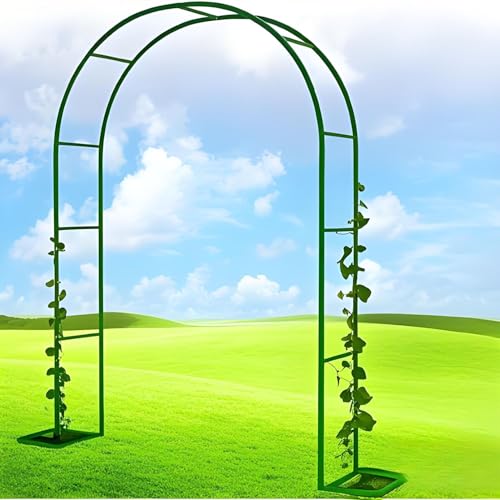 Schwer Rosenbogen Gartenbogen Rankhilfe 0.8m/1.4m/1.8m/2.4m/3m/3.5m W Stabil Metall Torbogen für Rosen, Pergola Bogen aus Metall Außenbereich Hochzeitsbogen(Green,80cm W x 200cm H) von generic
