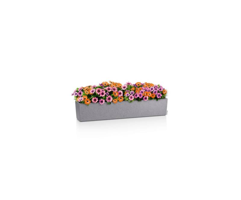 Lechuza Blumenkasten Balconera Stone 100 Steingrau 15438 von geobra Brandstätter Stiftung & Co. KG LECHUZA