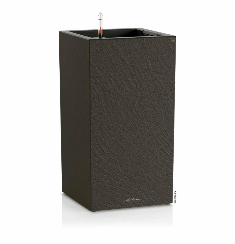 Lechuza Pflanzkübel eckig Canto Slatestone 30 high dark grey von geobra Brandstätter Stiftung & Co. KG LECHUZA