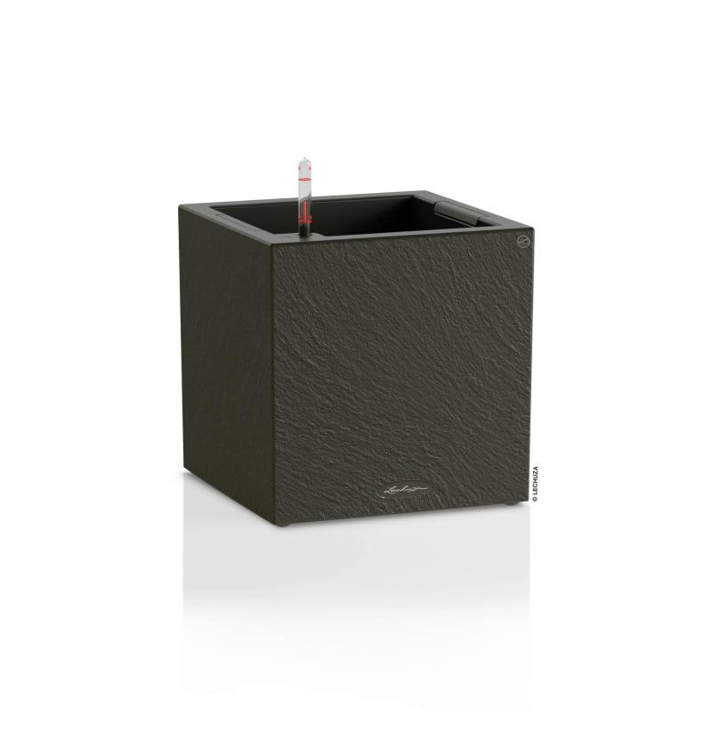Lechuza Pflanzkübel eckig Canto Slatestone 30 low dark grey Lechuza Pflanzkübel eckig Canto Slatestone 30 low dark grey von geobra Brandstätter Stiftung & Co. KG LECHUZA