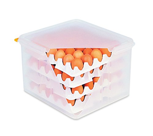 HACCP Eierbox aus Polypropylen mit OPTIONALER Ersatzeinlage - zum Transport und zur HACCP gerechten Aufbewahrung von Eiern, stapelbar - geeignet für 4 Einlagen je 30 Eier, Lieferumfang: 8 Einlagen für je 30 Eier / Abm. 35,4 x 32,5 x 20 cm (Eierbox) von getgastro