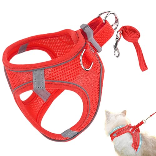 Ausbruchssicheres Katzengeschirr, Weiches Reflektierendes Mesh Geschirr Und Leine, Mittel Groß Geschirr für Wandern Camping Training Outdoor von gifyym