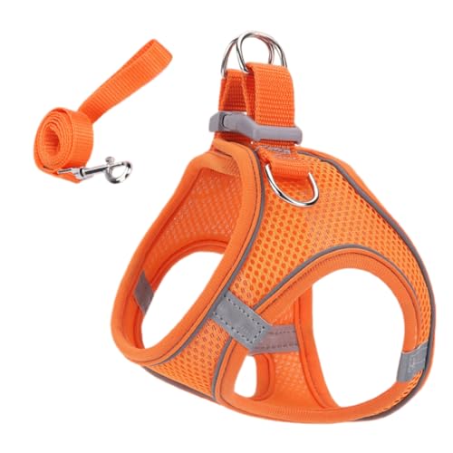Katzengeschirr | Weiches Mesh-Geschirr Mit Reflektierenden Sicherheitsstreifen | Mittel Groß Geschirr für Wandern Camping Training Outdoor von gifyym