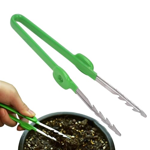 Pinzettenwerkzeug mit langem Griff | Pinzette mit gebogener gezackter Spitze für Bonsai-Werkzeuge - Gartenpinzette Saatpinzette Große lange Pinzette Pflanzenpinzette für Pflanzen, Gartenarbeit, Sukkul von gifyym