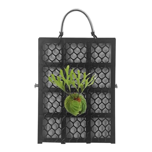 Staghorn Farn Montage Kit - Staghorn Farn Hanging Board | Vertikaler Hangpflanzenhalter | Langlebige Pflanzenhalterplatte für Orchideen und Kletteranlagen von gifyym