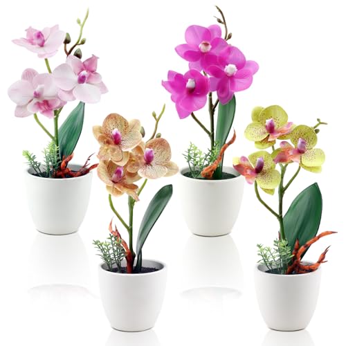 ginojex 4Pcs Künstliche Blumen Orchidee Fake Phalaenopsis Kleine Topfpflanze Keramik Vase für Tisch Mittelstück Home Office Badezimmer Hochzeit Dekor von ginojex