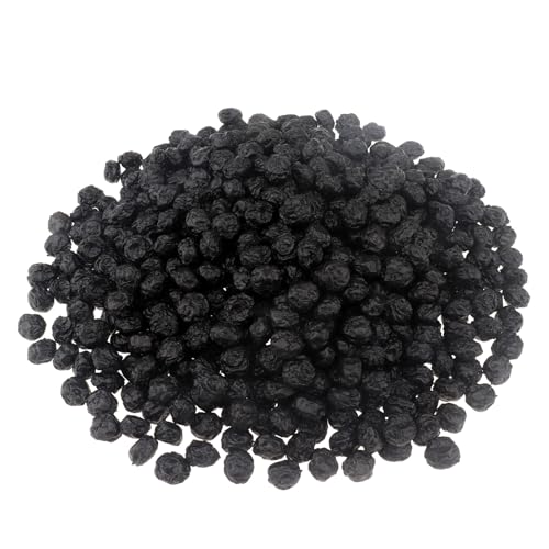 ginojex Künstliche getrocknete Blaubeeren 500g (630pcs) gefälschte getrocknete Früchte für Heimküche Tisch Mittelstück Schrank Glas Flasche Dekor von ginojex