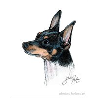 Toy Foxterrier Hund Fine Art 8x10 Print von glendaharlan
