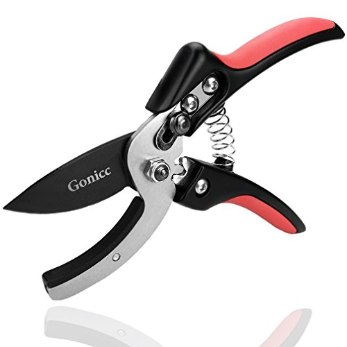 Gonicc Amboss Gartenschere(GPPS-1010), Stabile Gartenschere mit Amboss-Schneide für stärkeres und trockenes Holz bis 24 mm Durchmesser. von gonicc