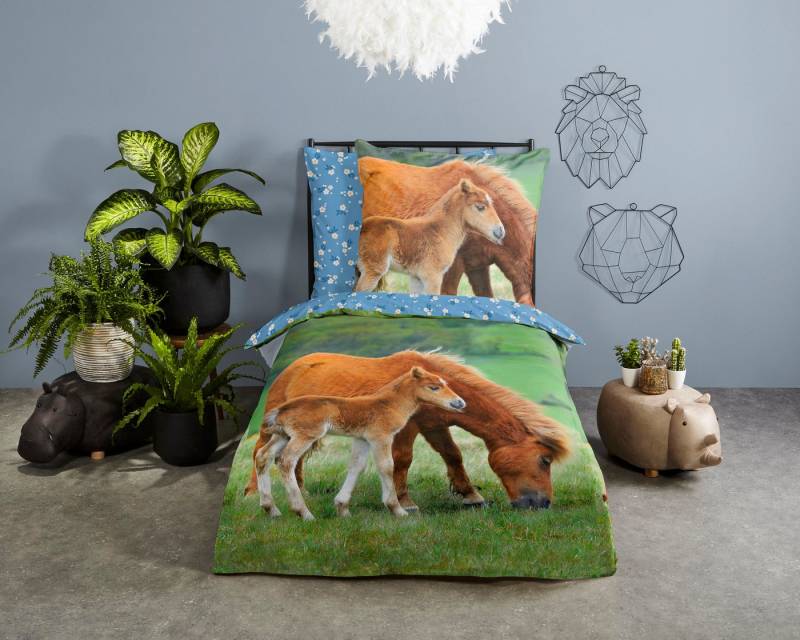 good morning Kinderbettwäsche Regine, Renforcé, 2 teilig, Baumwolle, 135x200, Reißverschluss, Wendeoptik, Kind, Mädchen, Pferd von good morning