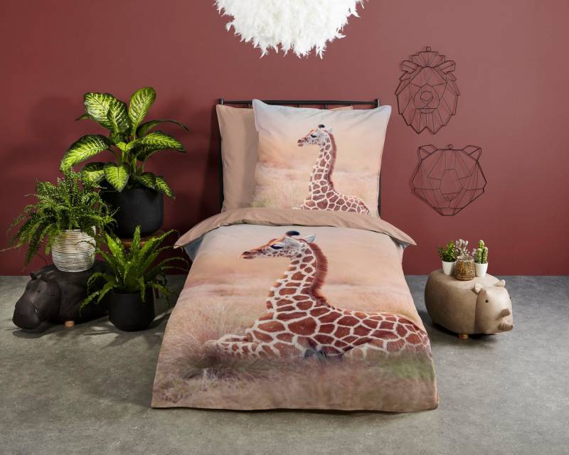 good morning Kinderbettwäsche Sima, Renforcé, 2 teilig, Baumwolle, 135x200, Reißverschluss, Wendeoptik, Kind, Giraffe, Sand von good morning