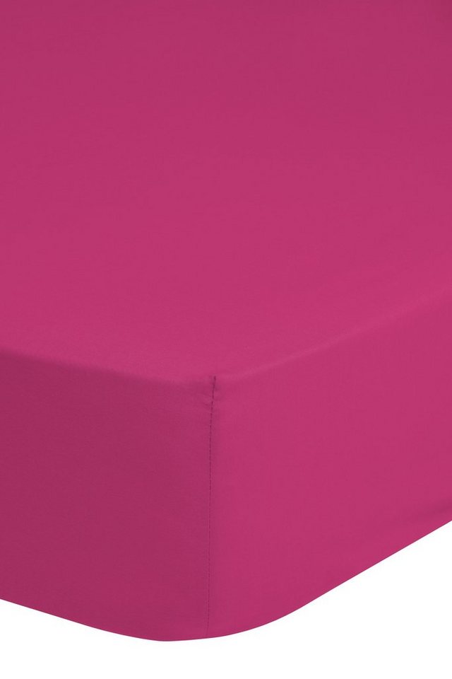 Spannbettlaken Spannbettlaken Fs 160/180x200 Good Morning jersey pink Pink, good morning, Baumwolle, Gummizug: Rundum, (1 Stück), Bettlaken mit Gummizug in 90x200 140x200 180x200 und weitere Größen von good morning