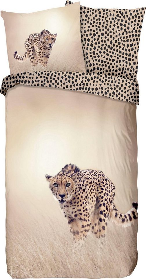 Wendebettwäsche Cheetah Bettwäsche-Set Bettbezug & Kissenbezüge, good morning, Renforcé, 3 teilig, mit Gepard von good morning