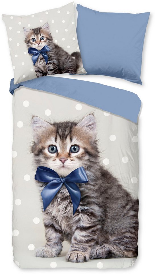 good morning Kinderbettwäsche Mae, Renforcé, 2 teilig, 100% Baumwolle, 135x200, Reißverschluss, Wende, Kind, Katze, Blau Grau von good morning