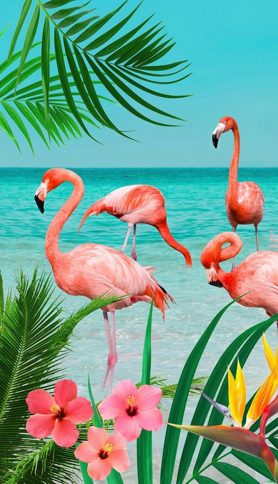 good morning Strandtuch Flamingo, Microfaser (1-St), mit Flamingos von good morning