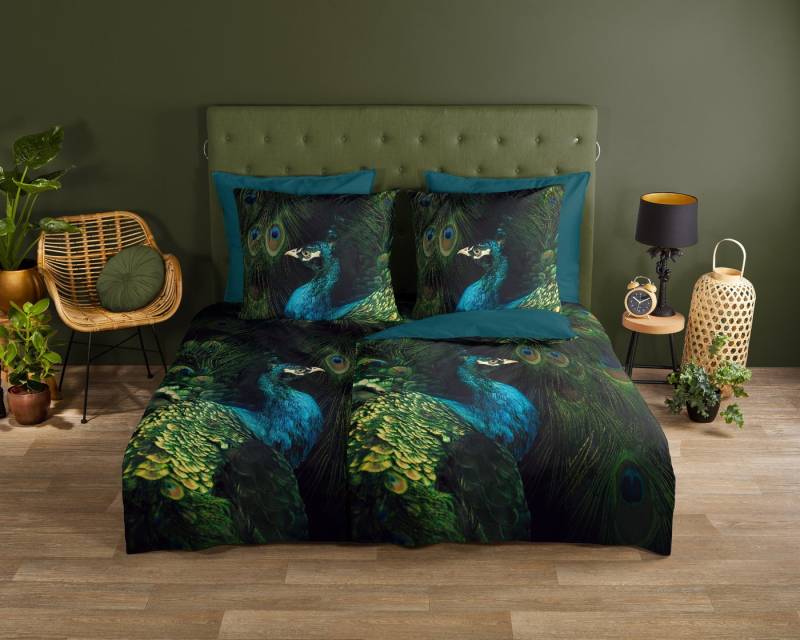 good morning Wendebettwäsche Coburg, Renforcé, 2 teilig, 100% Baumwolle, Renforcé, Reißverschluss, Wendeoptik, Pfau, Grün Petol good morning Wendebettwäsche Coburg, Renforcé, 2 teilig, 100% Baumwolle, Renforcé, Reißverschluss, Wendeoptik, Pfau, Grün Petol von good morning