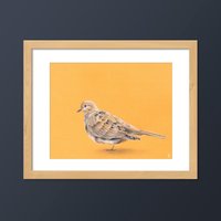 Trauertaube Vogel Kunstdruck von goodgoosegraphics