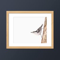 Weißbrustkleiber Kunstdruck von goodgoosegraphics