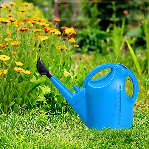 Giesskanne 5 Liter,Gartengiesskanne aus Kunststoff, Großem Fassungsvermögen Abnehmbare Gießkanne,mit Abnehmbarer Tülle UMD Duschhalterung,für Innengarten im Freien (Blau) von goodjinHH 01