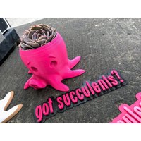 Octopus Sukkulenten Pflanzer | Nur Die Töpfe Made in Texas von gotsucculents
