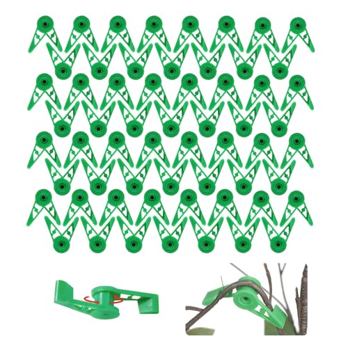gotyou 360° Verstellbare Pflanzenbieger,60 Stücke Pflanzenbieger Lst Clips,Pflanzenstiel-Trainer-Clips,Low Stress Training Clips für Niedrige Belastung,Gartenhalter,Pflanzen-Training gotyou 360° Verstellbare Pflanzenbieger,60 Stücke Pflanzenbieger Lst Clips,Pflanzenstiel-Trainer-Clips,Low Stress Training Clips für Niedrige Belastung,Gartenhalter,Pflanzen-Training von gotyou