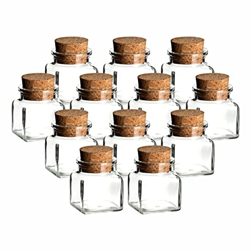 gouveo 12er Set Gewürzgläser 120 ml eckig mit Korken - Kleine Korkengläser mit Korkverschluss - Leere Vorratsgläser für Kräuter, Gewürze - Kleine Glasdose von gouveo