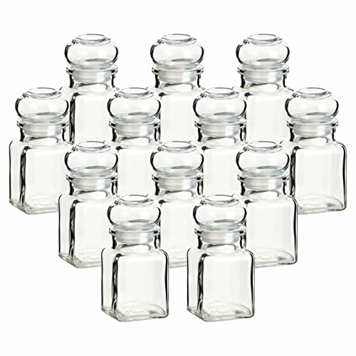 gouveo 12er Set Gewürzgläser 150 ml eckig mit Glaskorken - Kleine Korkengläser mit Glasstopfen - Leere Vorratsgläser für Kräuter, Gewürze - Kleine Glasdose von gouveo