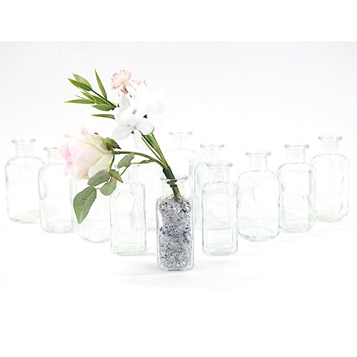 gouveo 12er Set Glasvasen Apo 100 eckig - Quadratförmige Blumenvasen aus Glas - Kleine Deko-Vasen für Zuhause, Hochzeiten, Geburtstage, Feste von gouveo