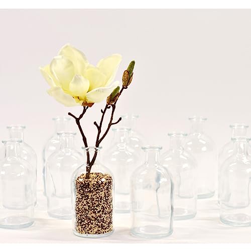 gouveo 12er Set Glasvasen Apo 250 - Runde Blumenvasen aus Glas - Zeitlose Deko-Vasen für Zuhause, Hochzeiten, Geburtstage, Feste von gouveo