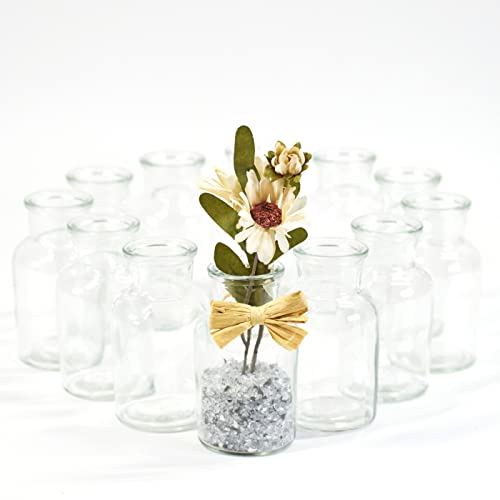 gouveo 12er Set Glasvasen Clear-Bottle 125 - Runde Blumenvasen aus Glas - Kleine Deko-Vasen für Zuhause, Hochzeiten, Geburtstage, Feste von gouveo