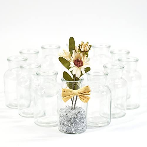 gouveo 12er Set Glasvasen Clear-Bottle 125 - Runde Blumenvasen aus Glas - Deko-Vasen für Zuhause, Hochzeiten, Geburtstage, Feste von gouveo