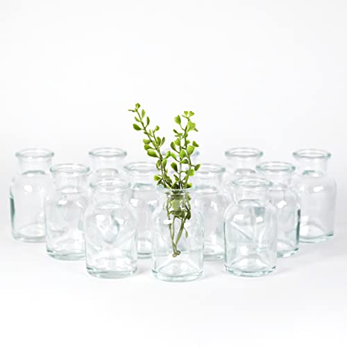 gouveo 12er Set Glasvasen Clear-Bottle 60 - Runde Blumenvasen aus Glas - Deko-Vasen für Zuhause, Hochzeiten, Geburtstage, Feste von gouveo
