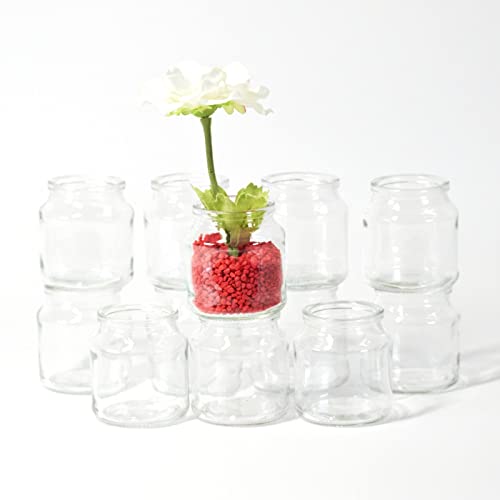gouveo 12er Set Glasvasen Rondo - Runde Blumenvase aus Glas - Schöne Deko-Vase für Zuhause, Hochzeit, Geburtstag, Feierlichkeiten von gouveo
