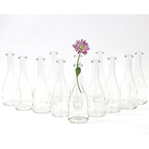 gouveo 12er Set Glasvasen Rustica200 - Runde Blumenvasen aus Glas - Kleine Deko-Vasen für Zuhause, Hochzeiten, Geburtstage, Feste von gouveo