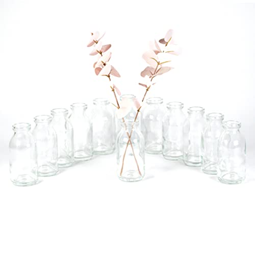 gouveo 12er Set Glasvasen Vase Mini 100 - Runde Blumenvasen aus Glas - Kleine Deko-Vasen für Zuhause, Hochzeiten, Geburtstage, Feste von gouveo