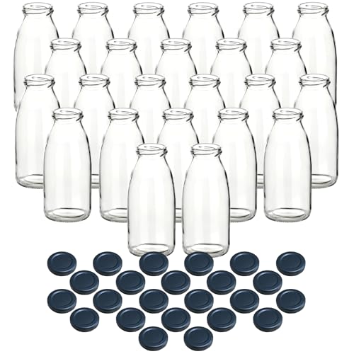 gouveo 24er Set Saftflasche 250 ml mit Schraubdeckel schwarz-matt BS - Glasflasche 0,25 l mit TO43 Verschluss - Leere Flasche für Saft, Smoothie, Limonade (SF250SZBS) von gouveo