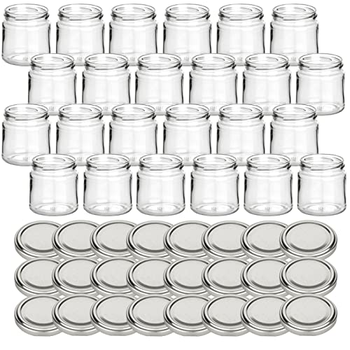 gouveo 24er Set Marmeladengläser 250g Honig mit Schraubdeckel silberfarben - Runde Vorratsgläser mit Schraubverschluß TO66 - Leere Gläser, Einkochgläser, Schraubgläser (HGTO250S) von gouveo
