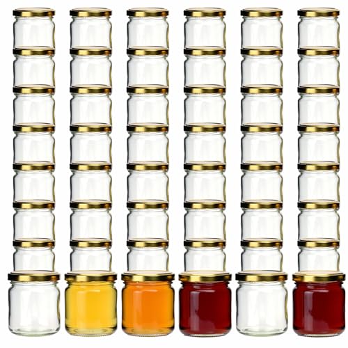 gouveo 48er Set Marmeladengläser 500g Honig mit Schraubdeckel goldfarben - Vorratsgläser mit Schraubverschluß TO82 - Leere Einmachgläser, Schraubgläser (HGTO500G) von gouveo
