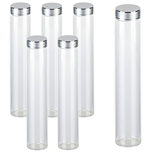 gouveo 6er Set Gewürzgläser 150 ml Tube mit Schraubdeckel silberfarben - Kleine zylinderförmige Gläser mit Schraubverschluss - Leere Aufbewahrungsgläser für Kräuter, Kosmetik, Bastelzubehör von gouveo