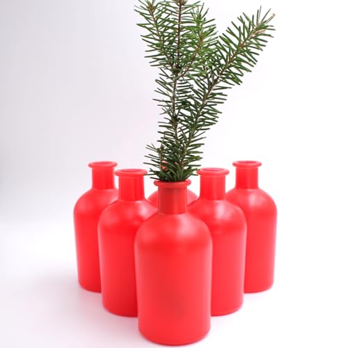 gouveo 6er Set Glasvasen Apo 250 rot - Runde Blumenvasen aus Glas - Zeitlose Deko-Vasen für Zuhause, Weihnachten, Hochzeiten von gouveo