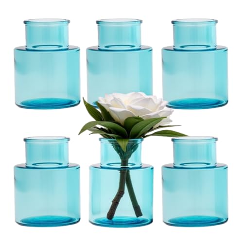 gouveo 6er Set Glasvasen Cylinrical 120 blau - Runde Moderne Blumenvasen aus Glas - Zeitlose Deko-Vasen für Zuhause, Hochzeiten, Geburtstage, Feste (VC120B) von gouveo