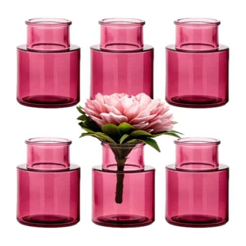 gouveo 6er Set Glasvasen Cylinrical 120 lila - Runde Moderne Blumenvasen aus Glas - Zeitlose Deko-Vasen für Zuhause, Hochzeiten, Geburtstage, Feste (VC120L) von gouveo