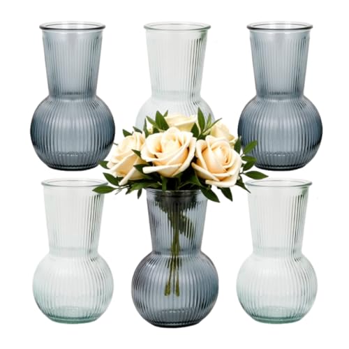 gouveo 6er Set Glasvasen Vertical 180 Farbmix - Geriffelte Blumenvasen aus Glas - Zeitlose Deko-Vasen für Zuhause, Hochzeiten, Geburtstage, Feste (VV180MIX) von gouveo
