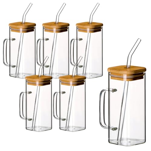 gouveo 6er Set Trinkgläser 350 ml mit Henkel, Deckel und Strohhalm - Cocktail Gläser aus Borosilikatglas - Longdrinkgläser mit Griff - Glasbecher für Kalt- & Heißgetränke (TGE350HT) von gouveo