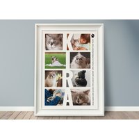 Foto-Collage Katzenliebe Katze, Hund, Pfote, Pfotenabdruck, Personalisiert Fotogeschenk Haustier, Bild Abschied Foto-Collage Katzenliebe Katze, Hund, Pfote, Pfotenabdruck, Personalisiert Fotogeschenk Haustier, Bild Abschied von grafikliebe