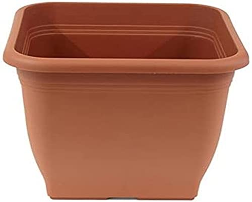 greemotion Pflanzkübel Pia Terrakotta - Blumentopf 58x58cm - 76,5L Blumenkübel eckig - Übertopf UV-beständiger Kunststoff - Pflanztopf frostsicher - Pflanzgefäß mit Bodenlöchern - Pflanzen-Zubehör greemotion Pflanzkübel Pia Terrakotta - Blumentopf 58x58cm - 76,5L Blumenkübel eckig - Übertopf UV-beständiger Kunststoff - Pflanztopf frostsicher - Pflanzgefäß mit Bodenlöchern - Pflanzen-Zubehör von Greemotion