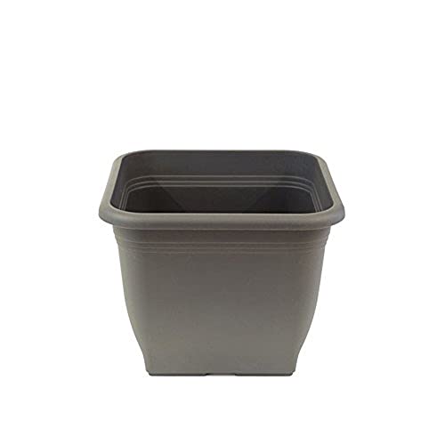 greemotion Pflanzkübel Pia Anthrazit-Grau - Blumentopf 33x33cm - 14,5L Blumenkübel eckig - Übertopf UV-beständiger Kunststoff - Pflanztopf frostsicher - Pflanzgefäß mit Bodenlöchern - Pflanzen-Zubehör greemotion Pflanzkübel Pia Anthrazit-Grau - Blumentopf 33x33cm - 14,5L Blumenkübel eckig - Übertopf UV-beständiger Kunststoff - Pflanztopf frostsicher - Pflanzgefäß mit Bodenlöchern - Pflanzen-Zubehör von Greemotion