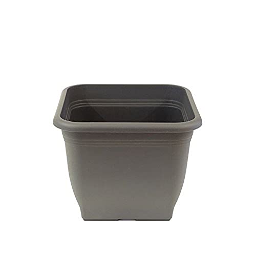 greemotion Pflanzkübel Pia Anthrazit-Grau - Blumentopf 40x40cm - 25L Blumenkübel eckig - Übertopf UV-beständiger Kunststoff - Pflanztopf frostsicher - Pflanzgefäß mit Bodenlöchern - Pflanzen-Zubehör greemotion Pflanzkübel Pia Anthrazit-Grau - Blumentopf 40x40cm - 25L Blumenkübel eckig - Übertopf UV-beständiger Kunststoff - Pflanztopf frostsicher - Pflanzgefäß mit Bodenlöchern - Pflanzen-Zubehör von Greemotion